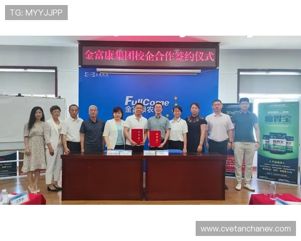 K8凯发官网地址最新入口导航,帮助用户快速访问官方平台安全稳定