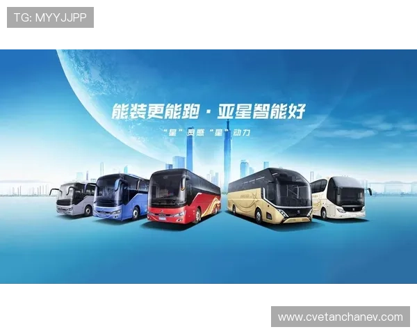 亚星686是不是官网:官方验证方法与非官方平台的区别详解