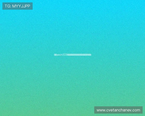 亚星yaxin222官方网站提供的最新产品信息与用户指南详解